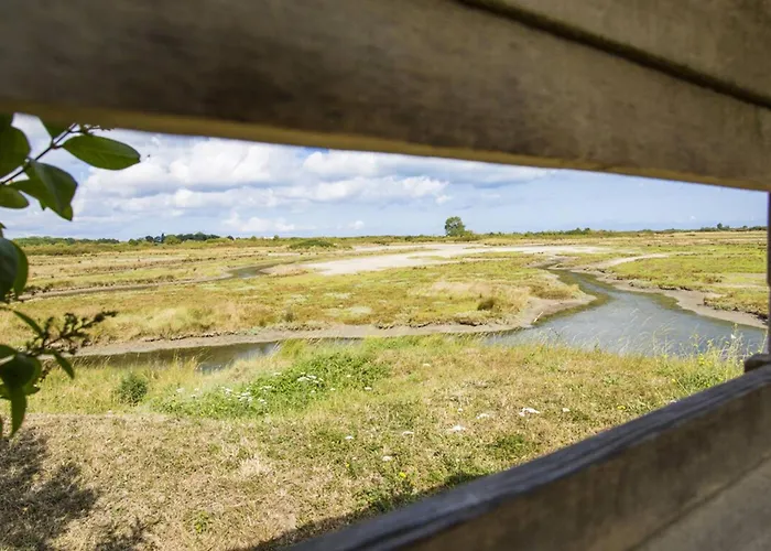 Maison Chaleureuse Et Lumineuse Au Coeur De - Fr-1-788-64